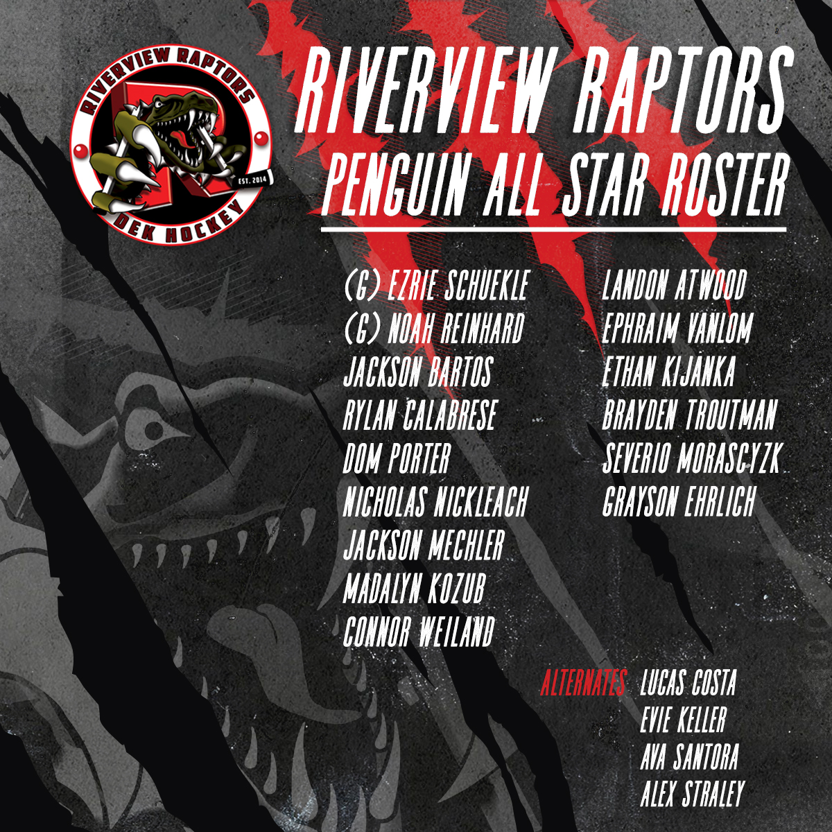 2021 Penguin All Stars Roster Riverview Dek Hockey